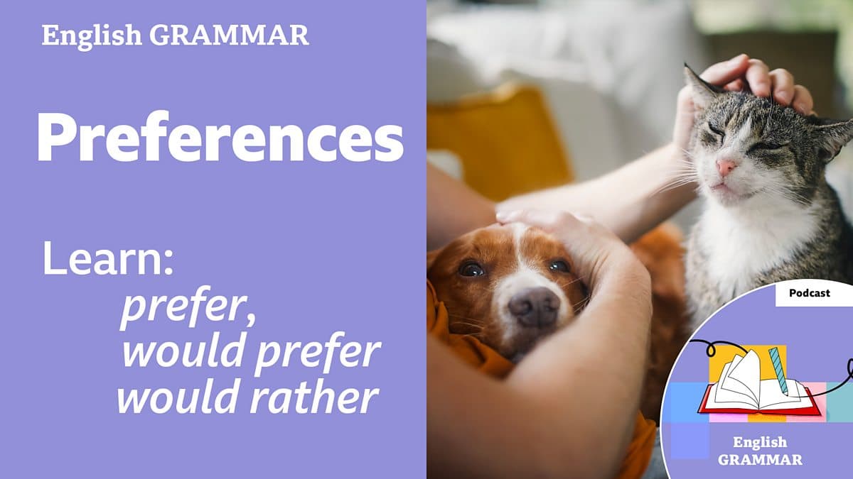 Learning English Grammar / Preferences