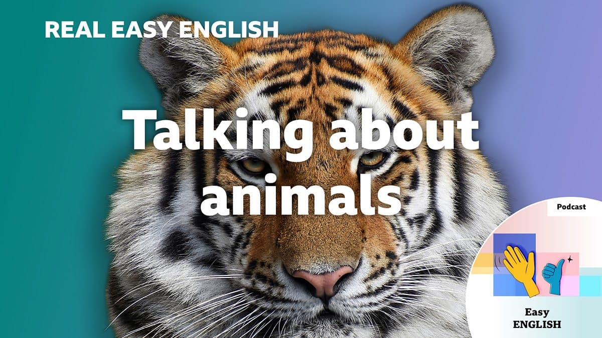 Real Easy English / Talking about animals