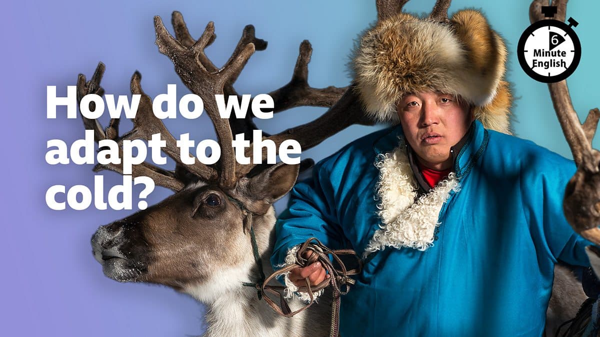 6 Minute English / How do we adapt to the cold?