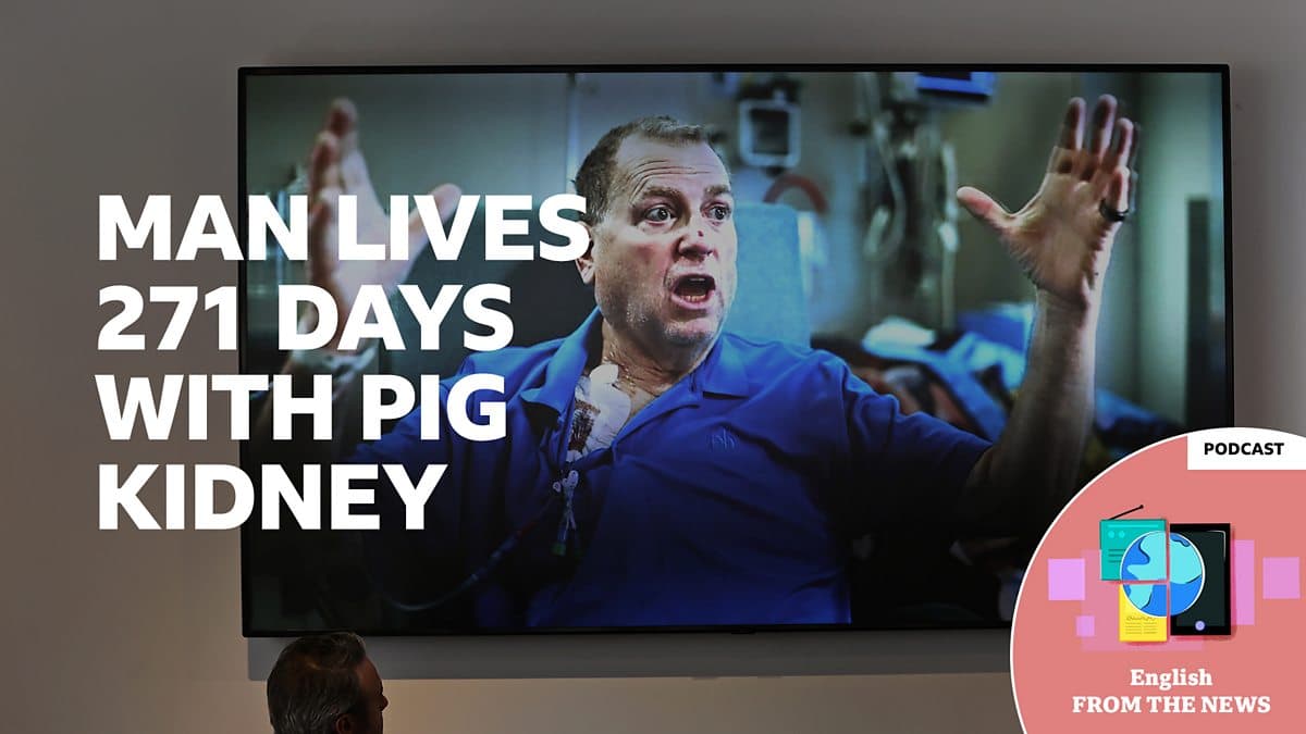 Learning English from the News / Man survives longest ever pig kidney transplant